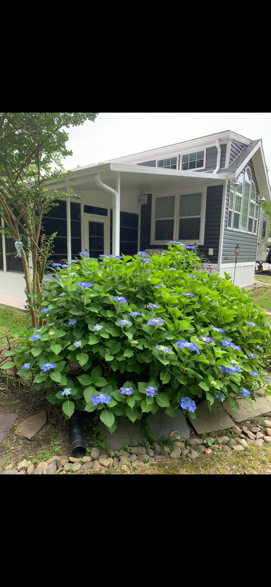 Lot 1 $162,000   Lots are shown by appointment only!